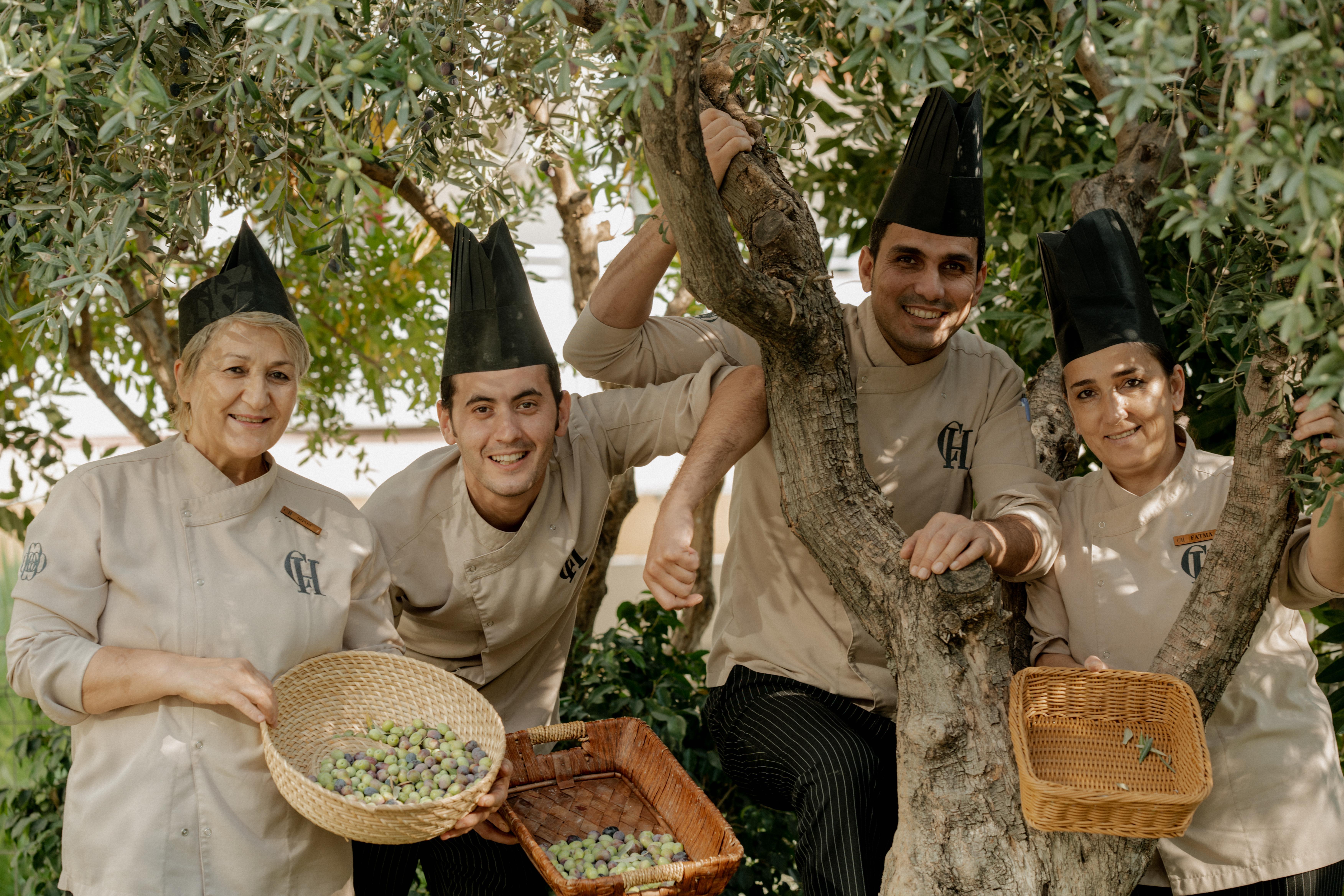 Castival Hotel Σιντέ Εξωτερικό φωτογραφία